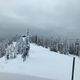 Illustration for article titled Day one at whitefish mountain resort